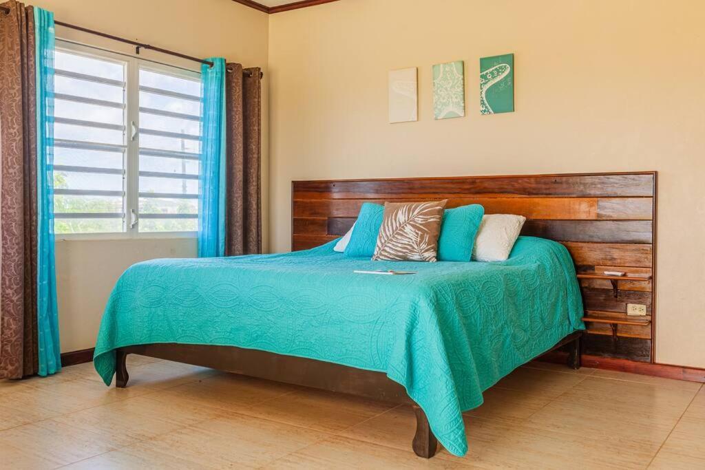 The Junior Suite'S "Palm Studio Apartment" South Hill Village Exteriér fotografie